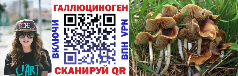 ссылка на мегу вход  Сальск  Галлюциногенные грибы Magic Shrooms  цена  