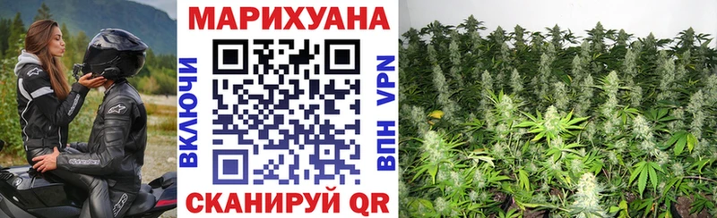 hydra ССЫЛКА  Сальск  Каннабис индика  где купить наркотик 